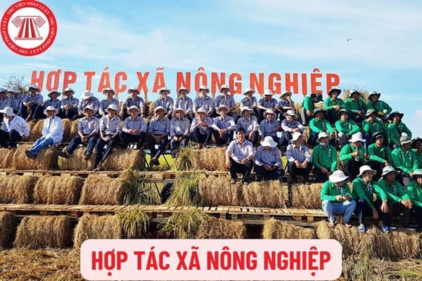 Thúc đẩy chuyển đổi số trong hợp tác xã